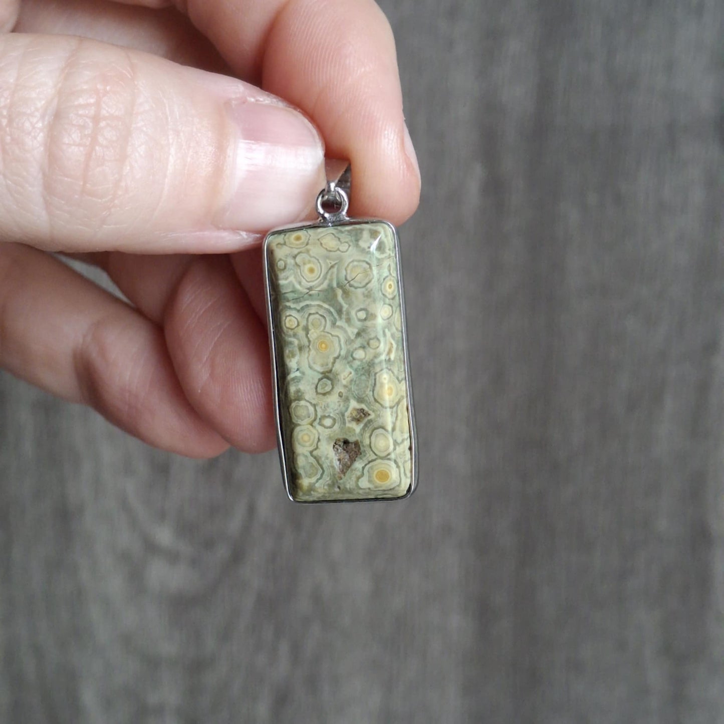 Small Vein Ocean Jasper Pendants